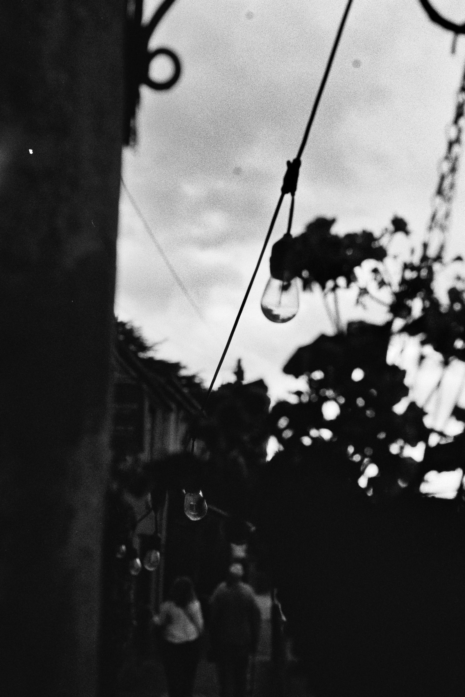 A black and white photograph of some lightbulbs on a wire along the street, behind a hanging plant pot