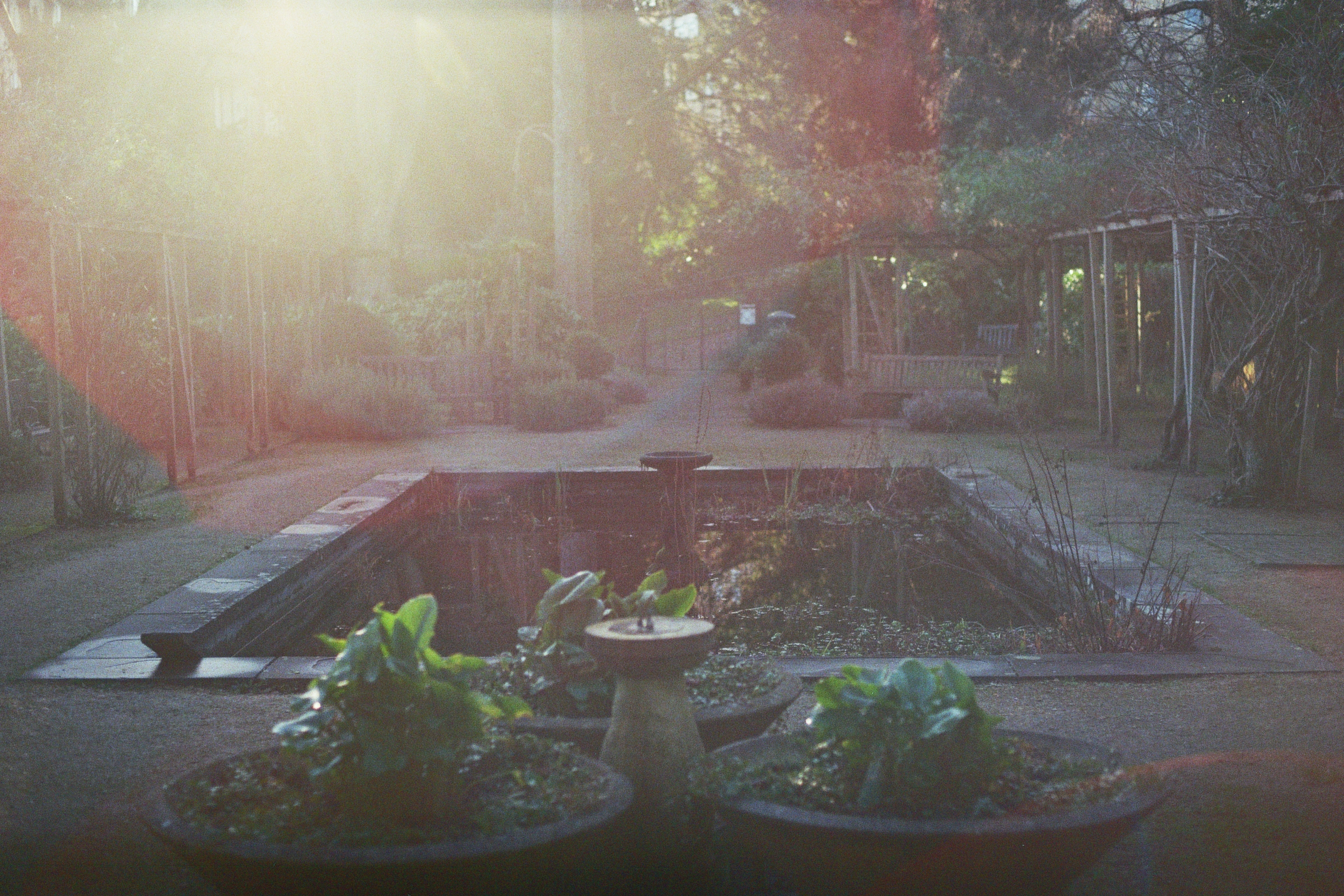 A colour photograph of a fountain in the middle of a park, with a big lens flare in the corner