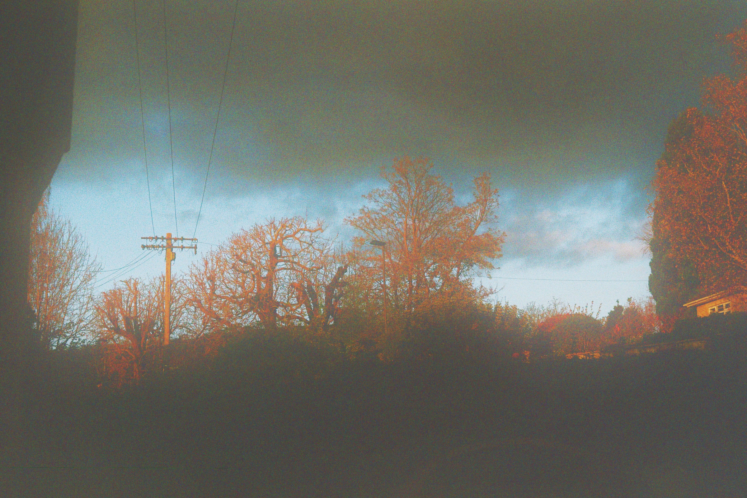 A colour photograph of telephone wires going past some trees on a partially cloudy day