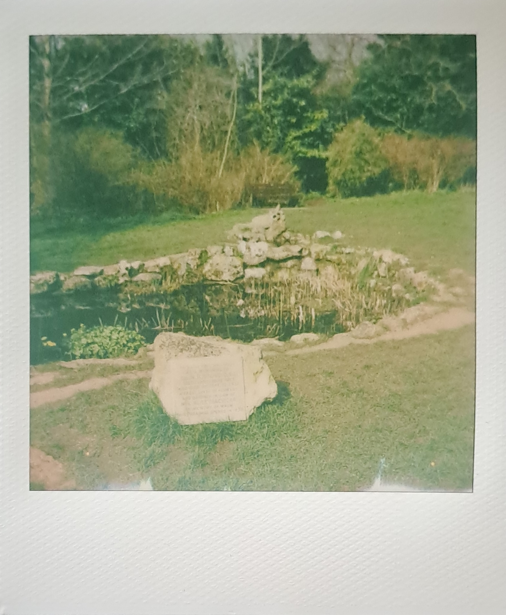 A Polaroid of a pond,  with a big rock that has a metal plaque screwed into it, in front of a wall of trees and bushes