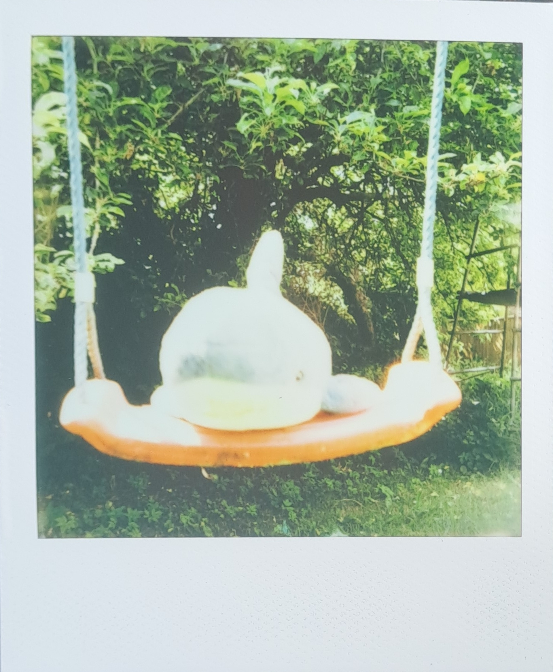 A Polaroid of Blahaj on a swing, inf front of a big apple tree